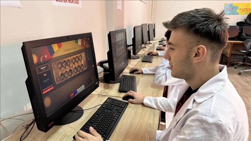 Geleneksel oyunlar, Türk gençlerinin sayesinde dijital dünyada