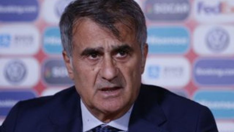 Şenol Güneş: Devlet yoksa para da yok