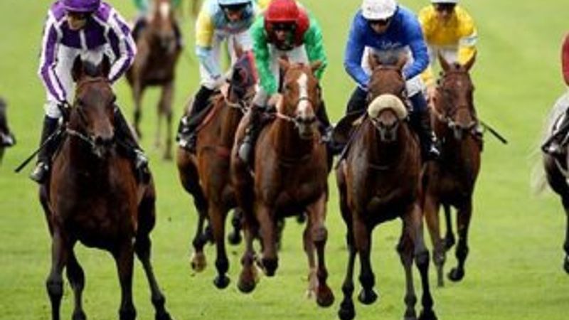 At yarışları ertelendi