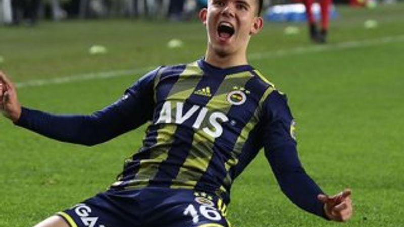 Şenol Güneş, Ferdi'yi milli takıma istiyor