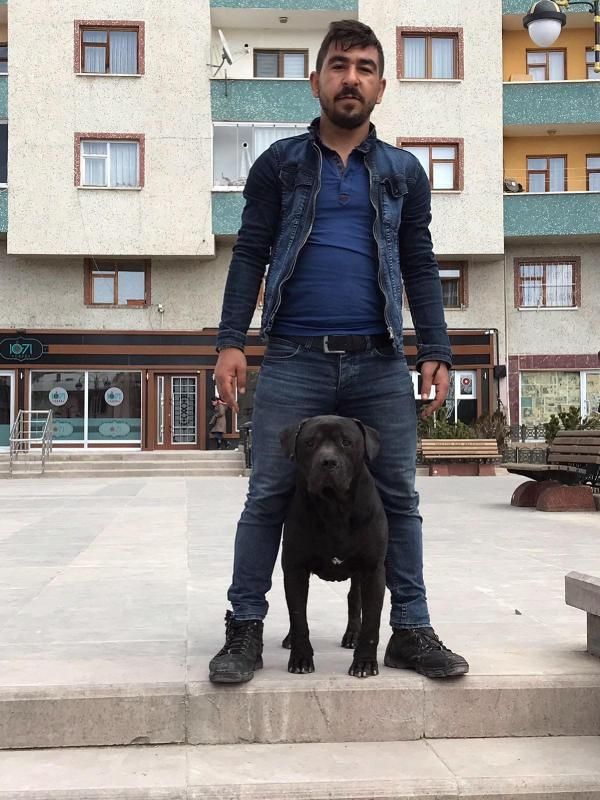 Cezaevine girmemek için öldü