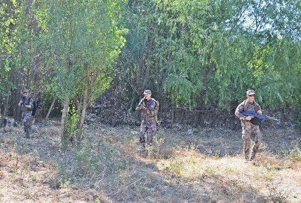 Diyarbakır'da dikili 2 bin kök Hint keneviri yakalandı