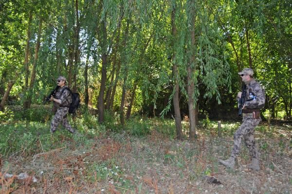 Diyarbakır'da dikili 2 bin kök Hint keneviri yakalandı