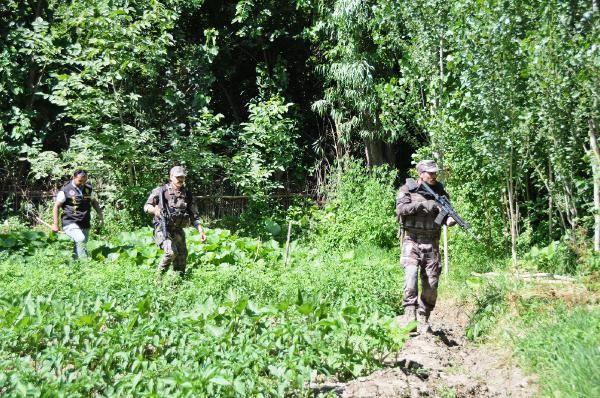 Diyarbakır'da dikili 2 bin kök Hint keneviri yakalandı