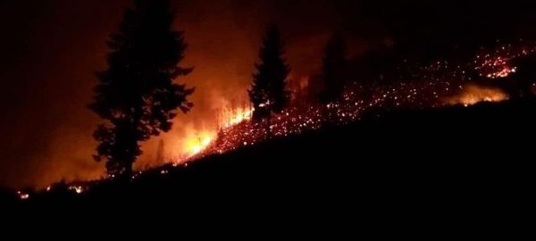 Trabzon’da çıkan orman yangınları ile ilgili Valilik’ten açıklama yapıldı -1