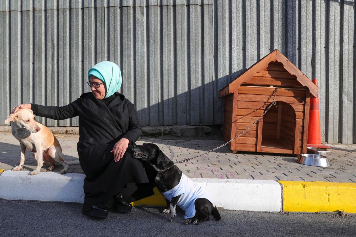 Engelli köpek Leblebi yi Emine Erdoğan sahiplendi #4