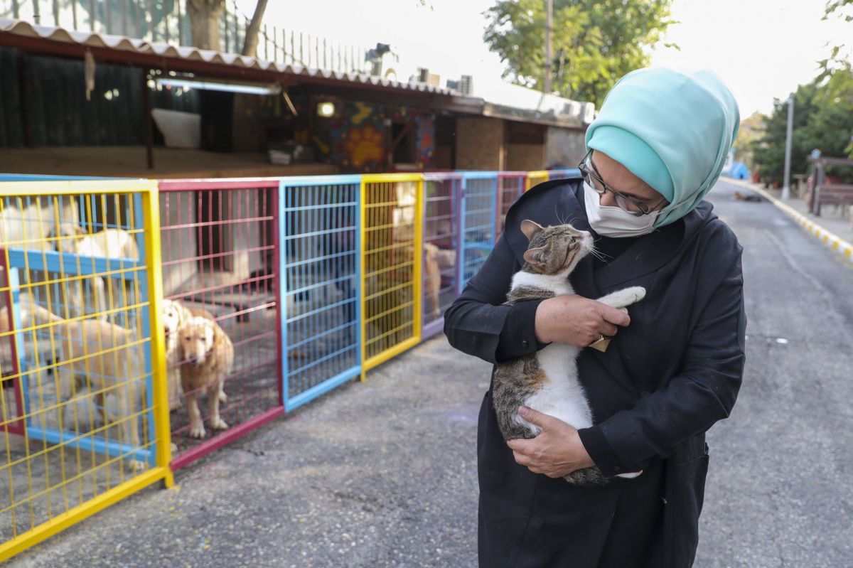 Engelli köpek Leblebi yi Emine Erdoğan sahiplendi #6