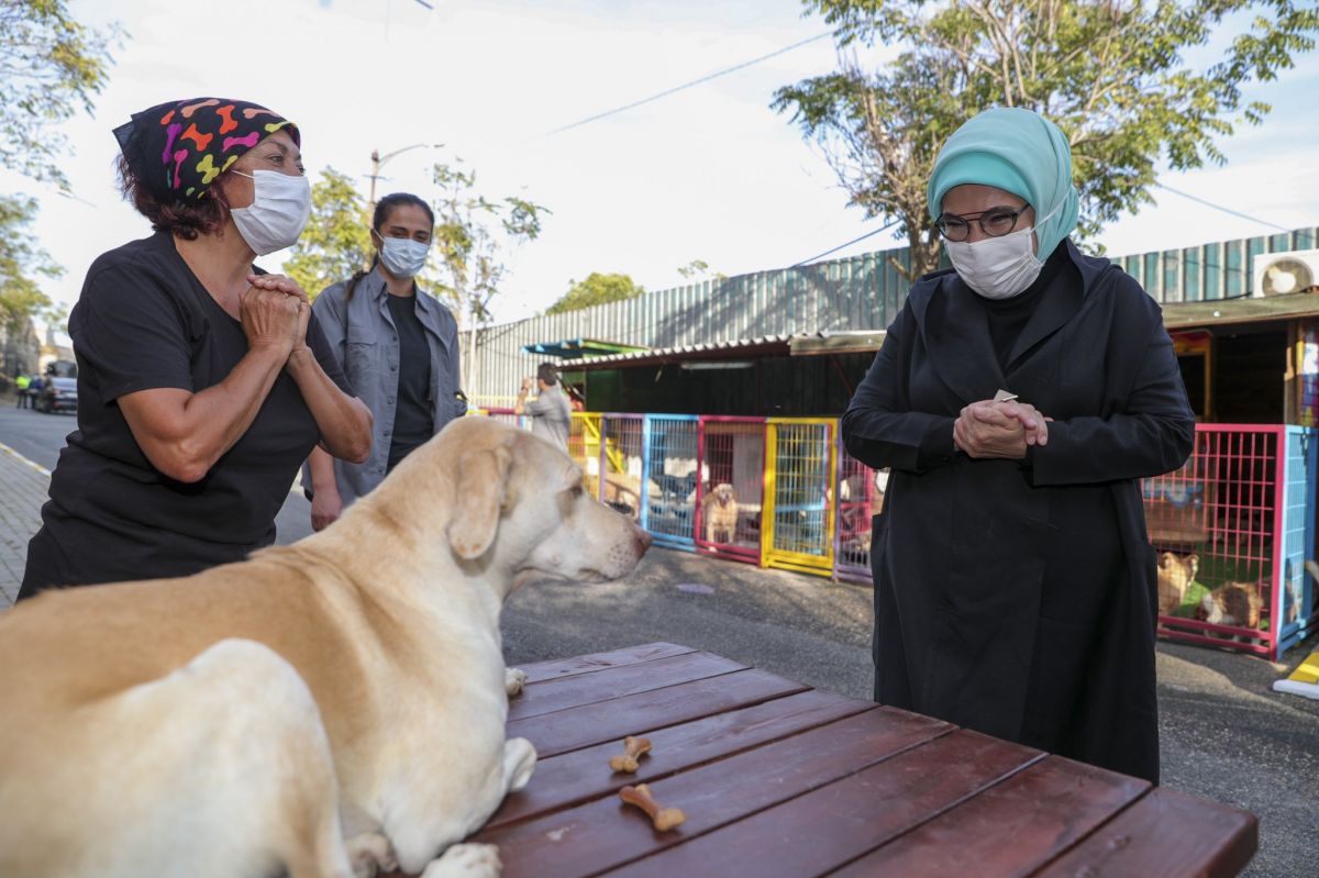 Engelli köpek Leblebi yi Emine Erdoğan sahiplendi #1