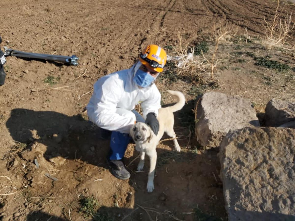 Niğde�de 4 gün boyunca kuyuda mahsur kalan köpek kurtarıldı