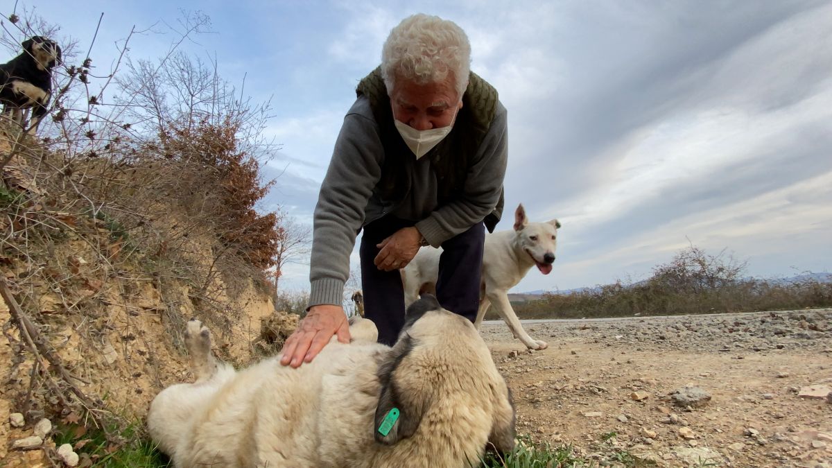 Samsun da sokak hayvanlarını tedavi etmek isteyen Fevzi Uyar, 71 yaşında veteriner oldu #10