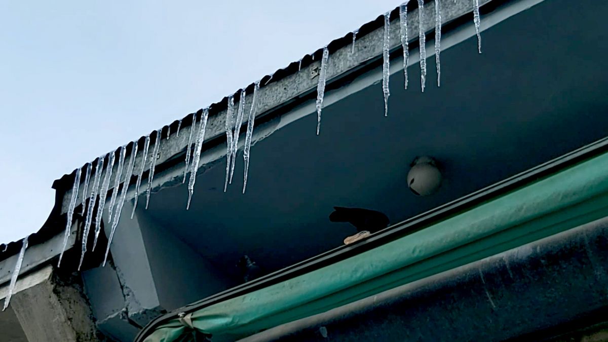 Ardahan’da termometreler eksi 25 dereceyi gördü #5