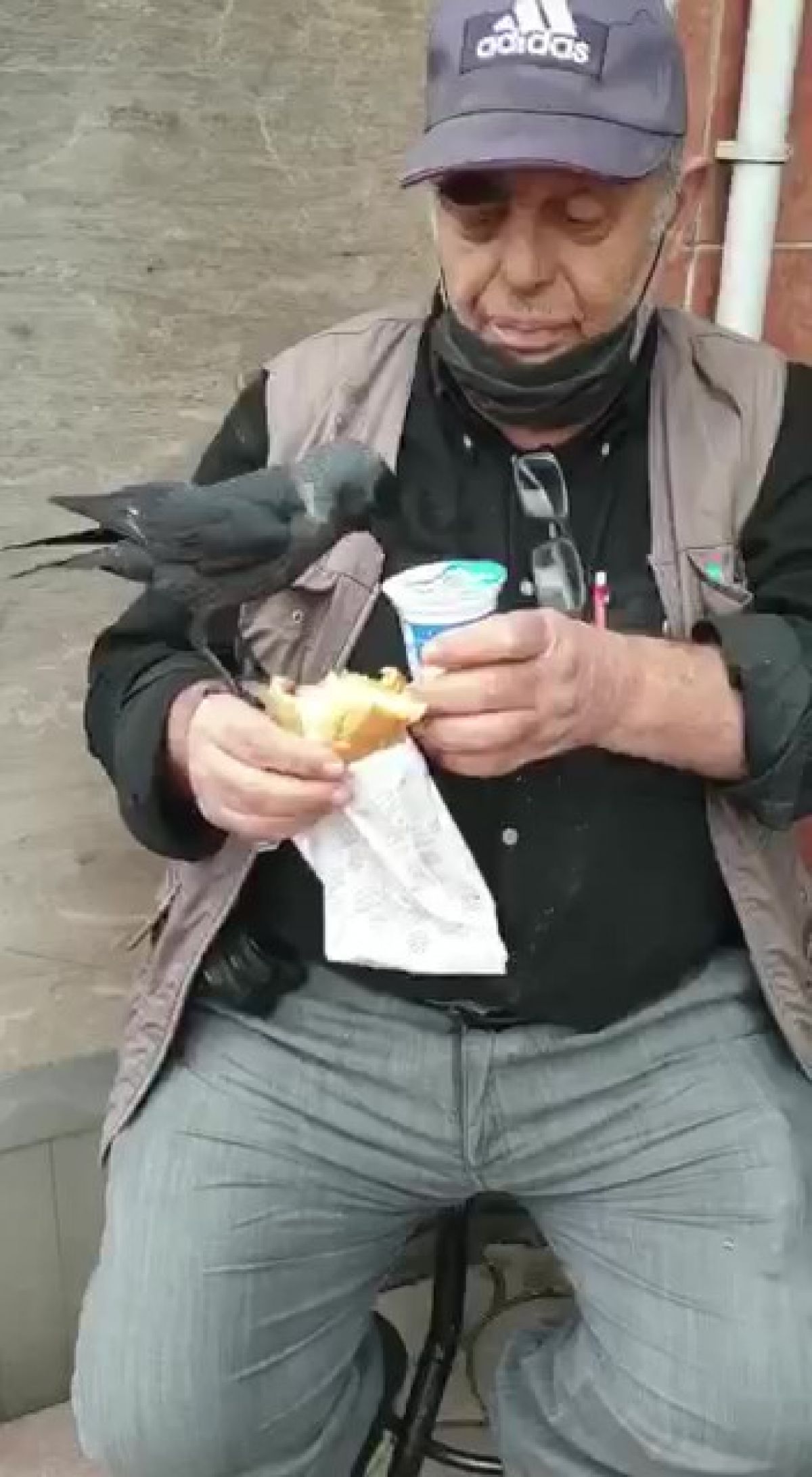 Kocaeli'de karga, dükkan önündeki kişinin dönerine ortak oldu 3 f0d689bca79c0419fc35b6f3f1d02732