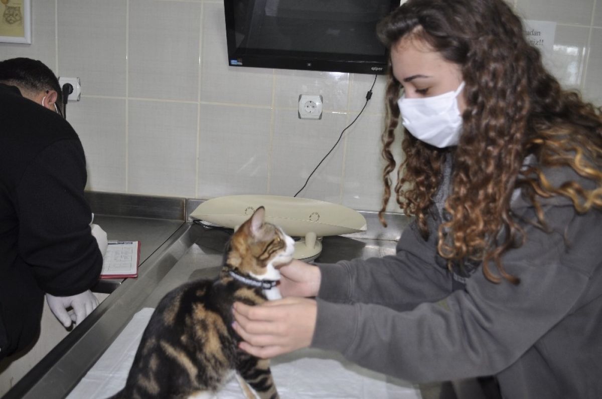 Muğla�da down sendromlu kedisine gözü gibi bakıyor
