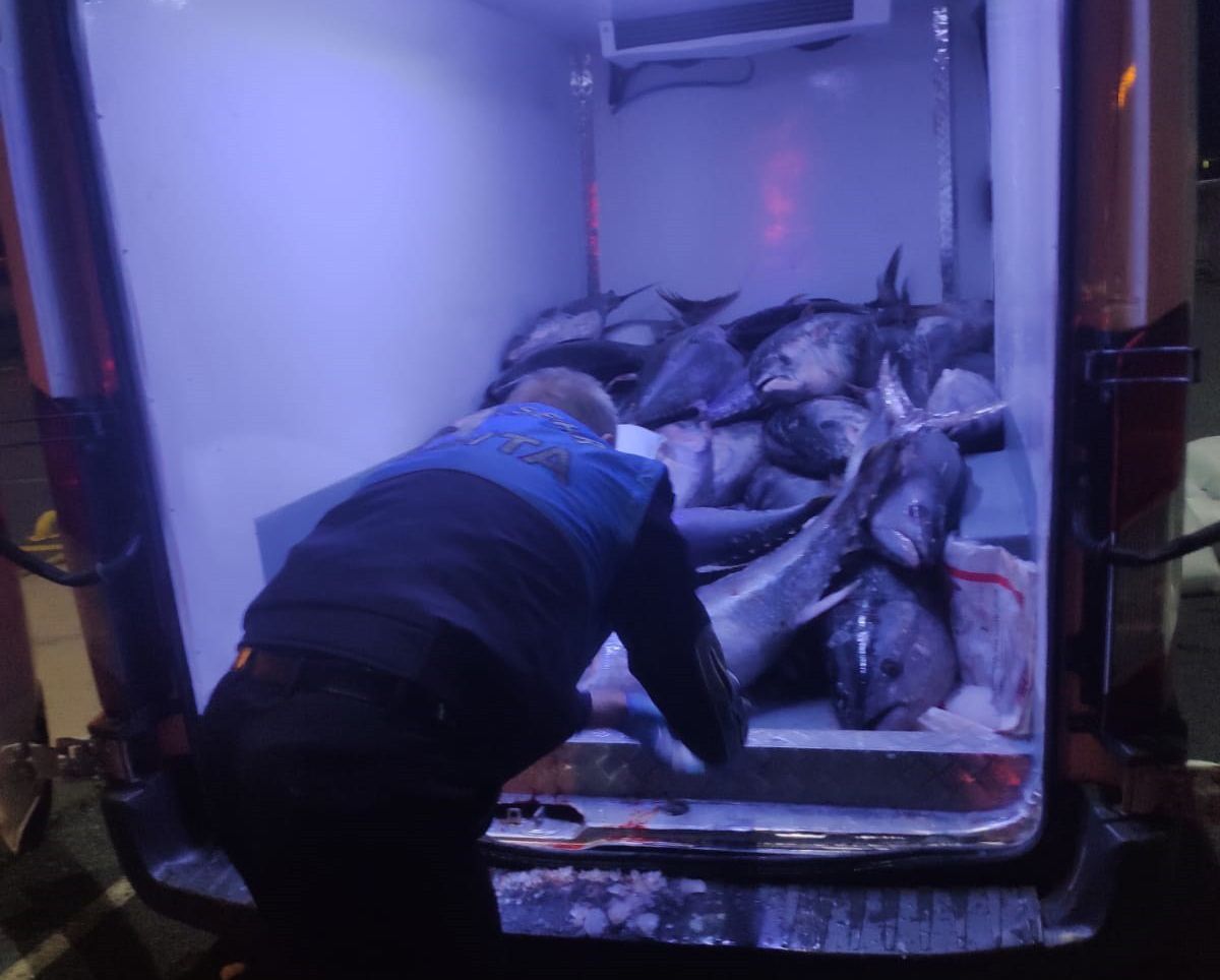 Beylikdüzü’nde kaçak avlanan 2,5 ton orkinosa ele konuldu #1
