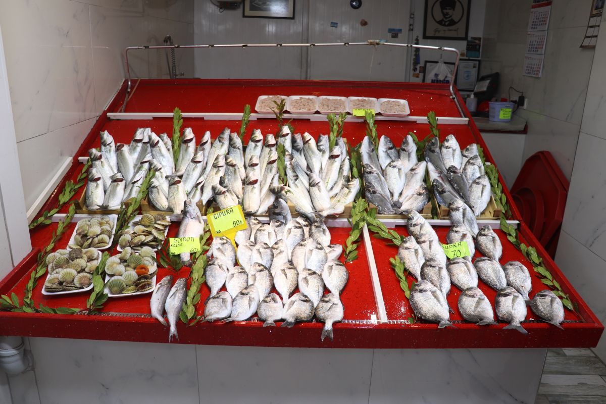 Çanakkale'deki fırtına, balık fiyatlarını yükseltti