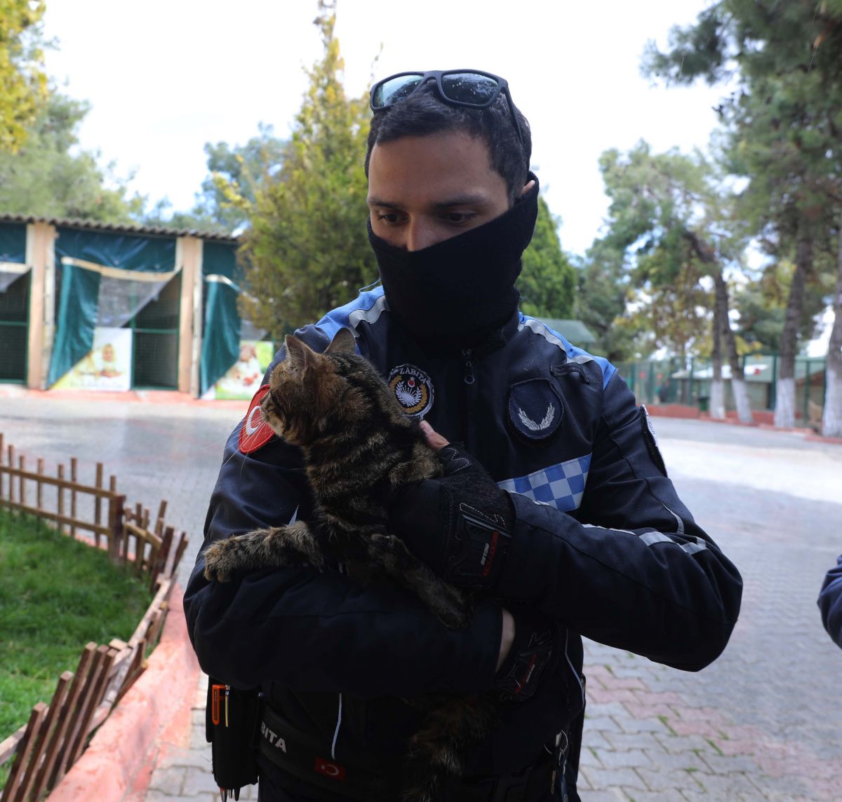 Gaziantep'te kediyi çivili sopayla döven şahıs, mama karşılığında affedildi