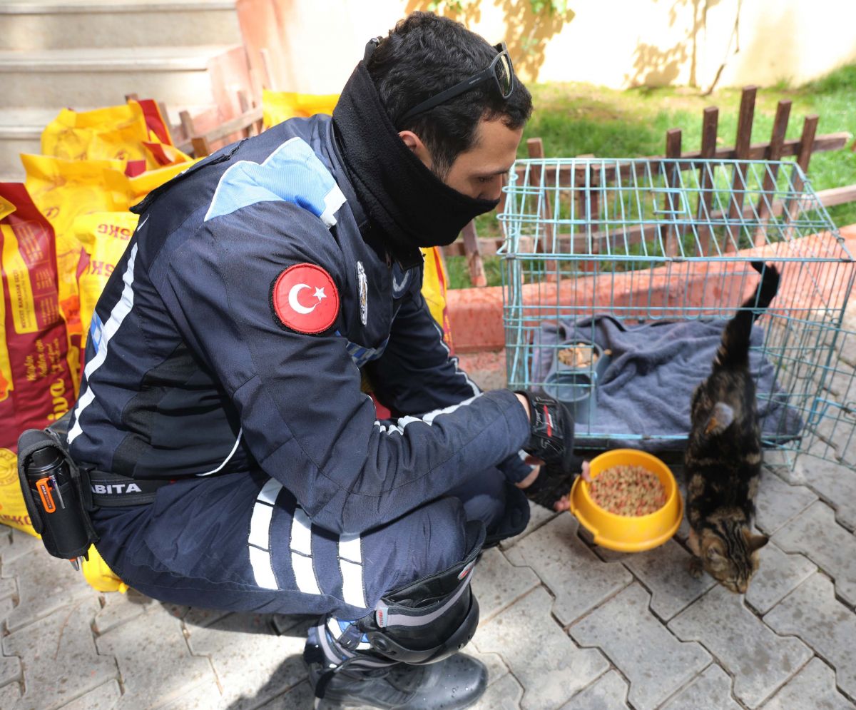 Gaziantep'te kediyi çivili sopayla döven şahıs, mama karşılığında affedildi