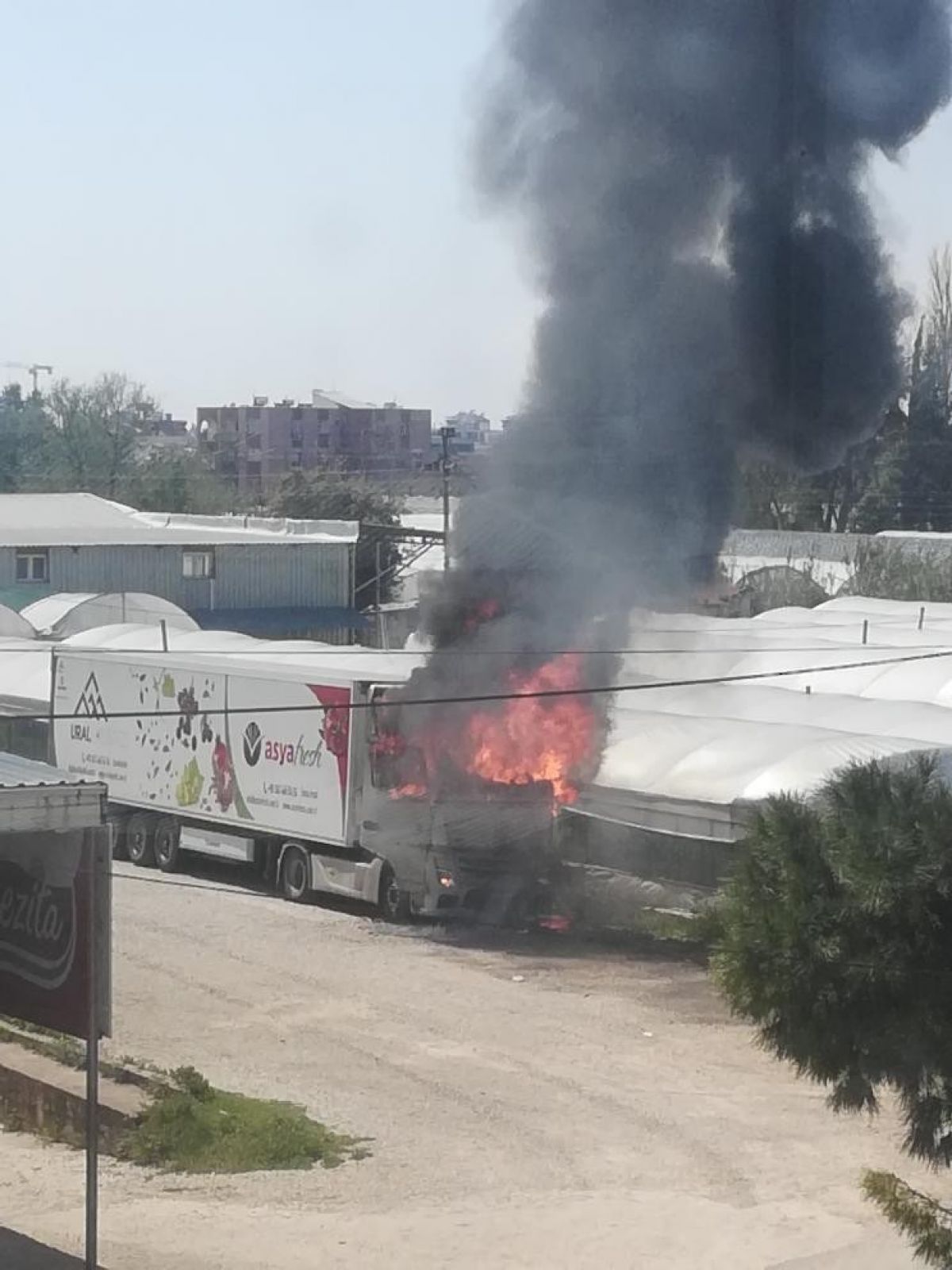 Antalya'da ekmek teknesinin yanışını gözyaşlarıyla izledi