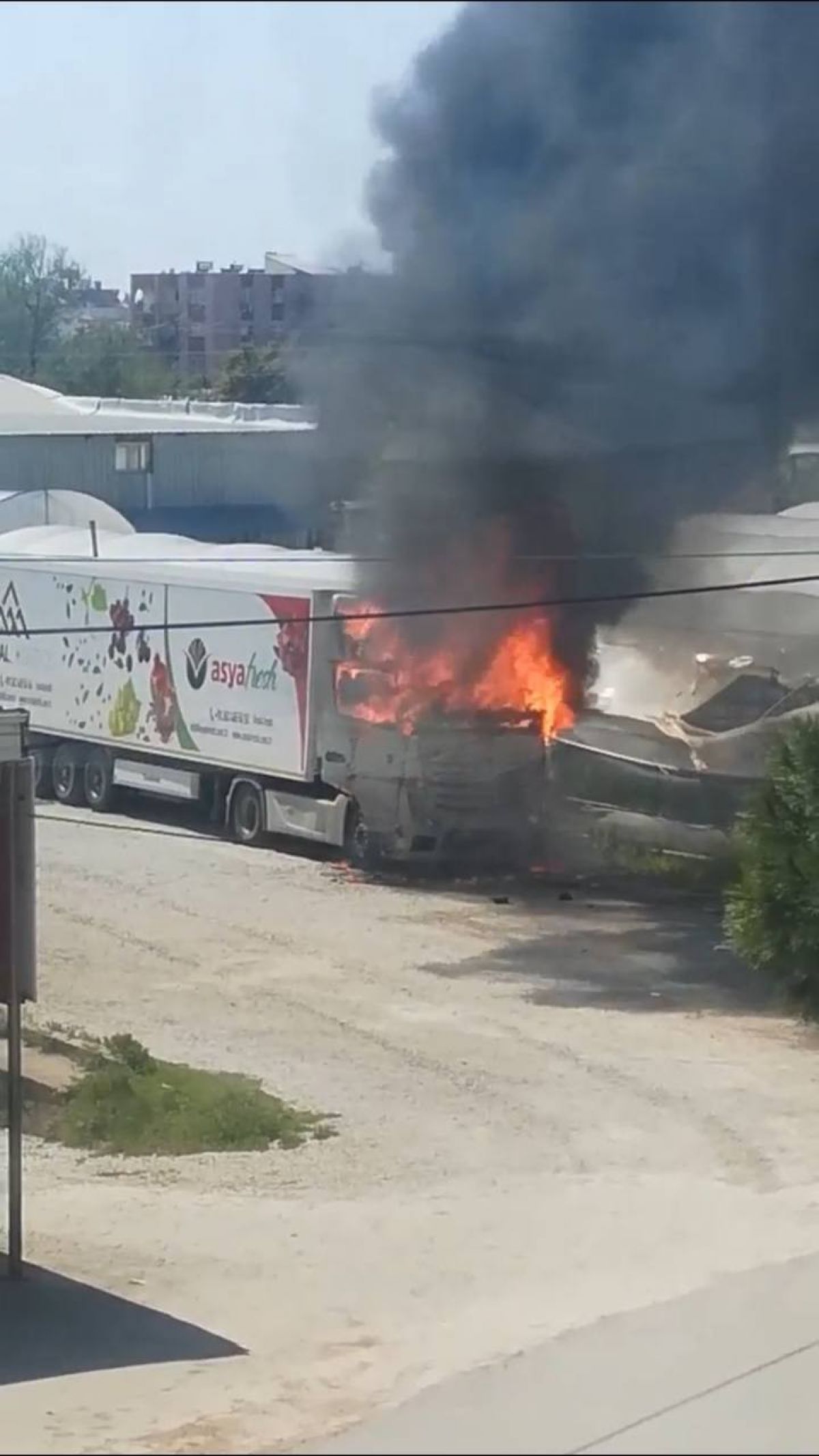 Antalya'da ekmek teknesinin yanışını gözyaşlarıyla izledi