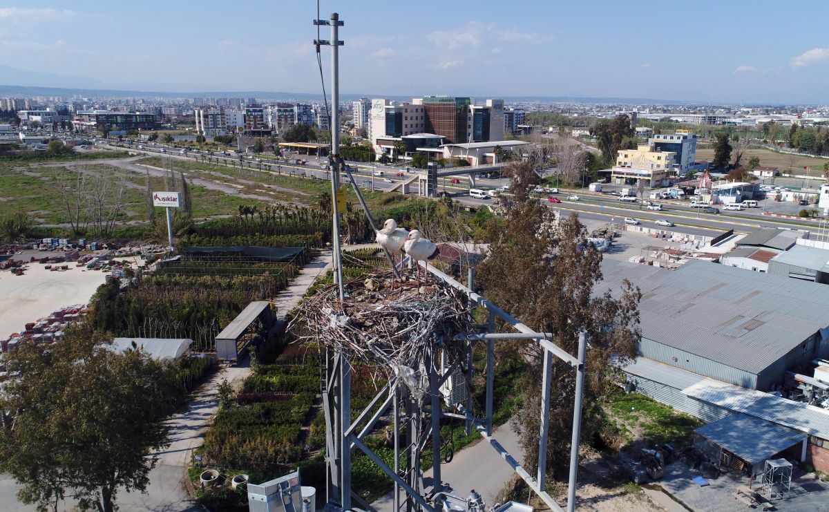 Antalya'daki baz istasyonunun misafirleri 16 yıldır değişmiyor