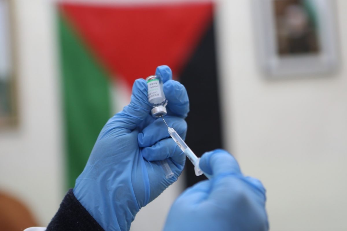 Coronavirus vaccine given to teachers in Palestine #3