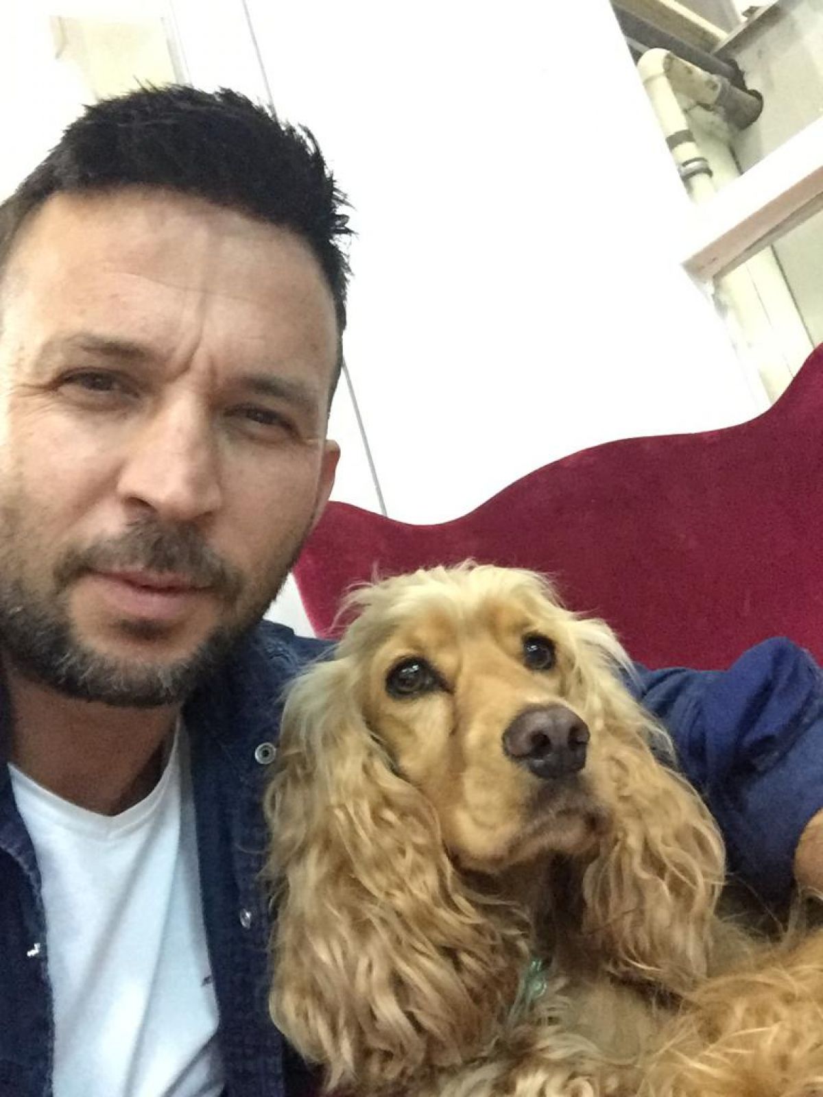 Bursa'da köpeğini bulana para ödülü verecek