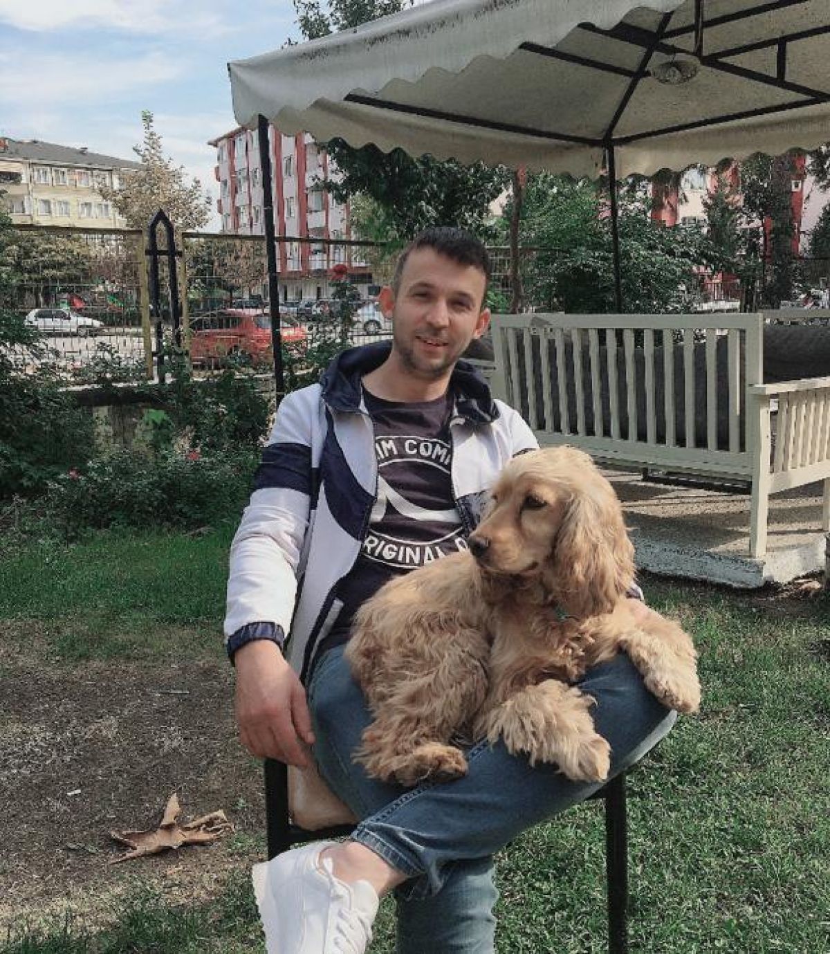 Bursa'da köpeğini bulana para ödülü verecek