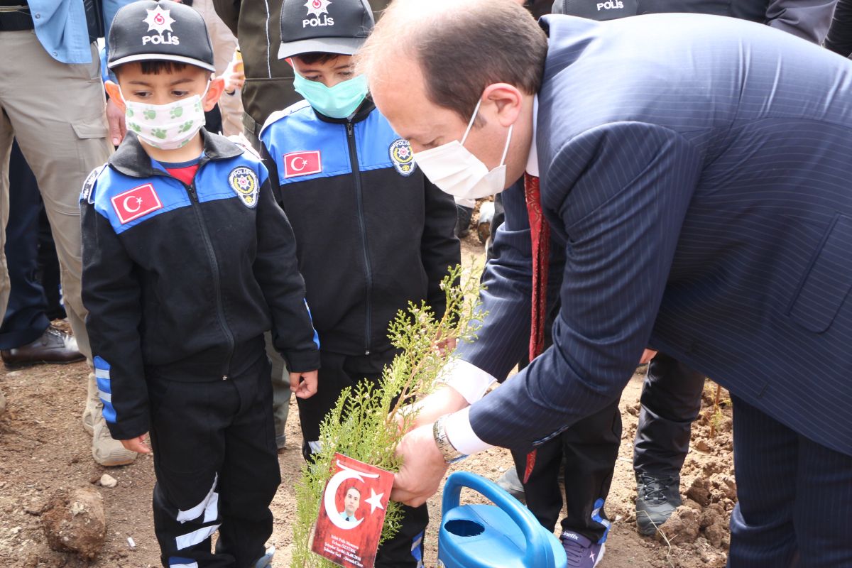 Şırnak'ta şehit 136 polisin anısına fidan dikildi