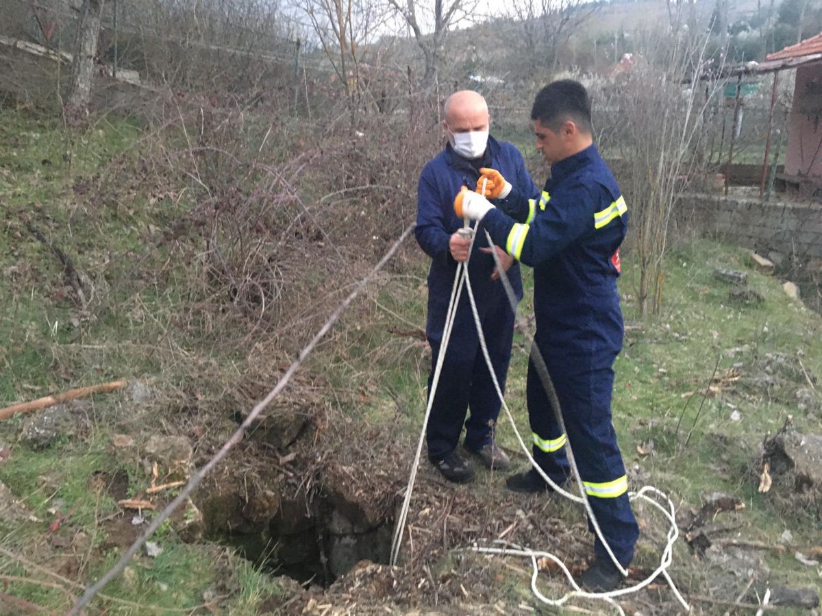 Burdur'da kuyuya düşen ineğin yardımına itfaiye koştu