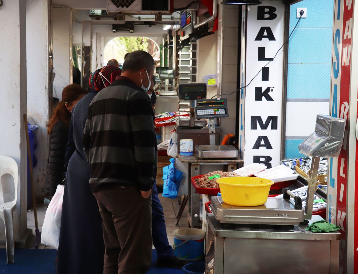 Çanakkale'de 1,5 metrelik yılan balığı yakalandı