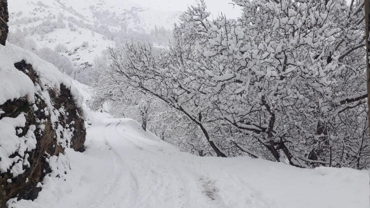 Van Bahçesaray'da okullara kar tatili