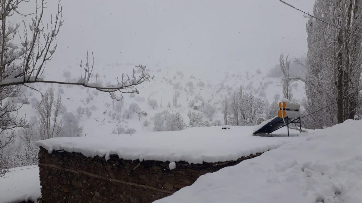 Van Bahçesaray'da okullara kar tatili