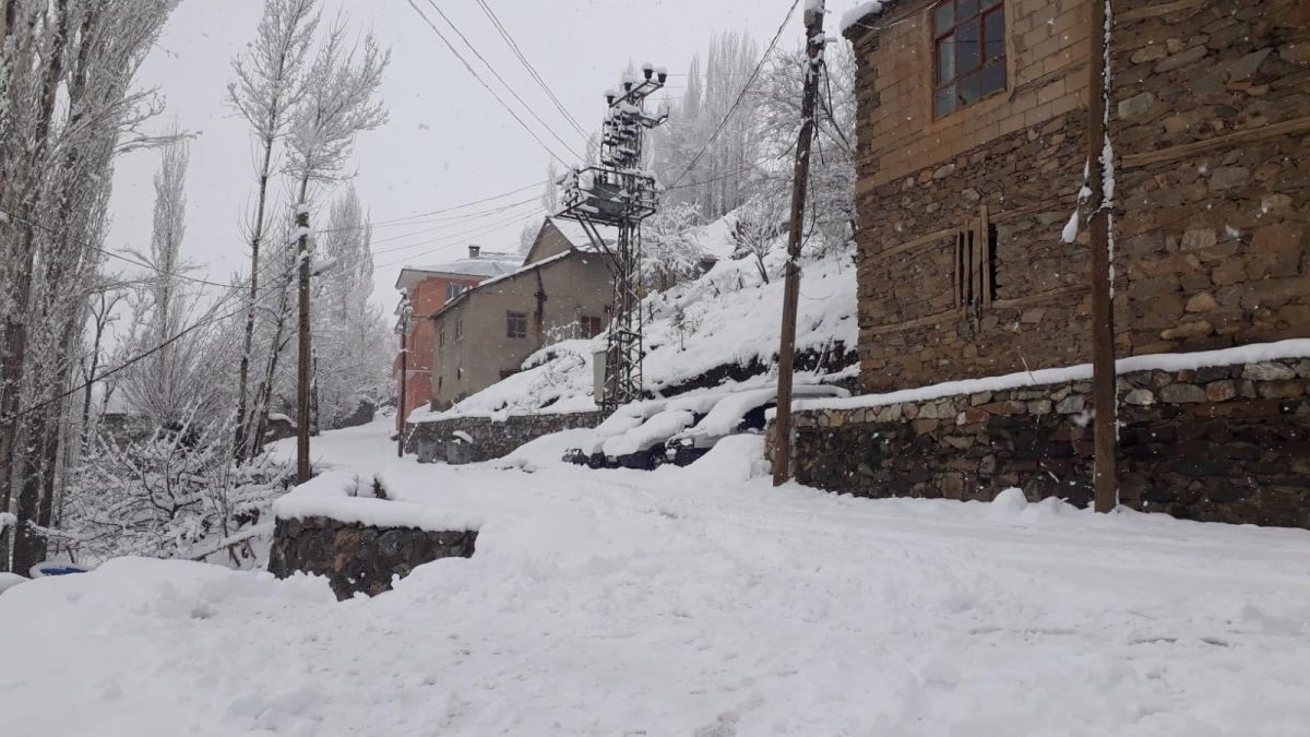 Van Bahçesaray'da okullara kar tatili