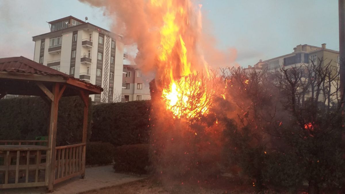 Çorum'da yanan çocuk parkı söndürüldü