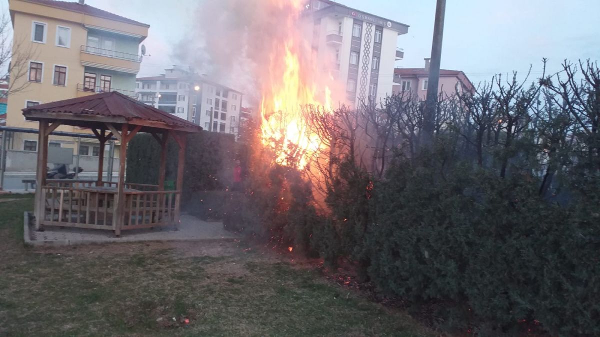 Çorum'da yanan çocuk parkı söndürüldü