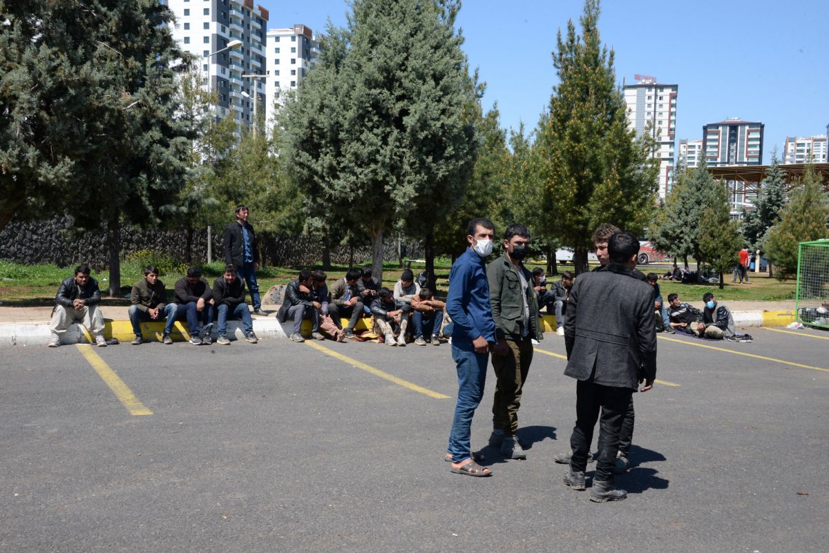 Türkiye'ye ulaşmak için 2 ay yürüyen Afgan göçmenler