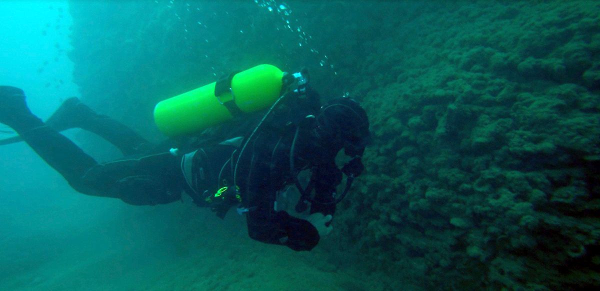 Antalya'da aslan balıkları falezlerin habitatını değiştirdi