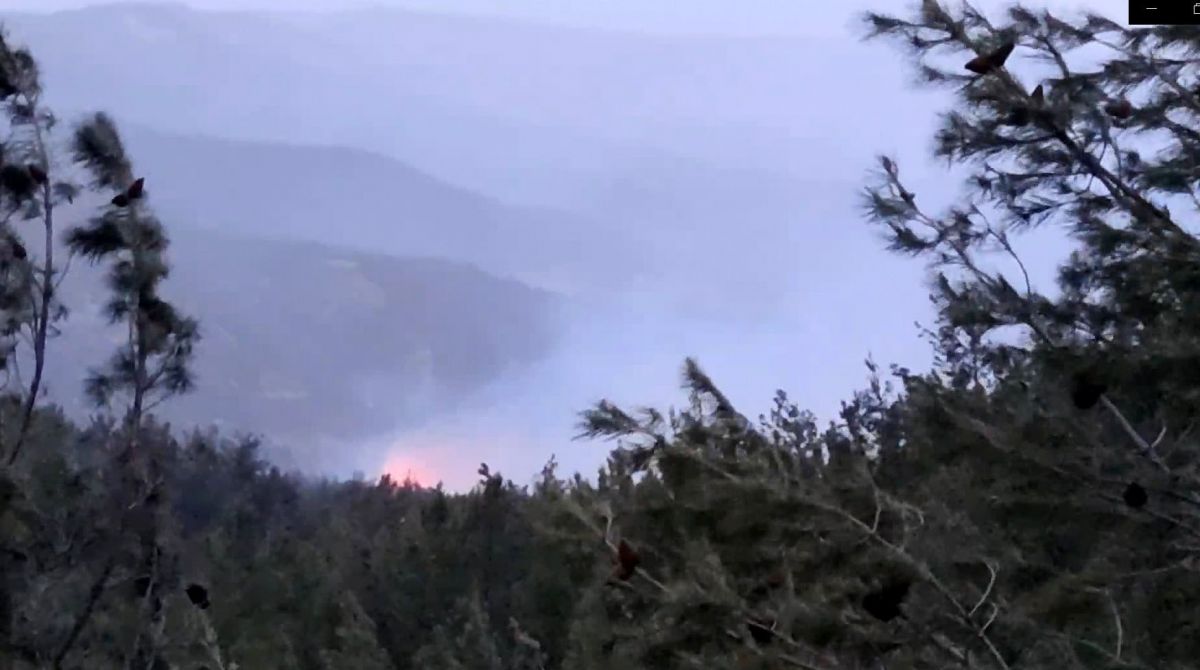 Muğla'da 29 hektarın zarar gördüğü orman yangınında sabotaj şüphesi