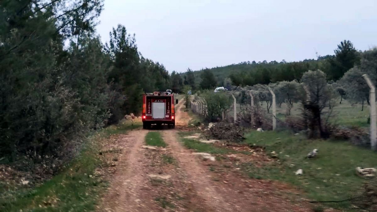 Muğla'da 29 hektarın zarar gördüğü orman yangınında sabotaj şüphesi