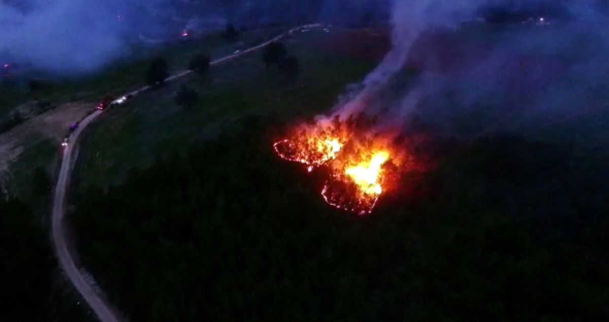 Muğla'da 29 hektarın zarar gördüğü orman yangınında sabotaj şüphesi