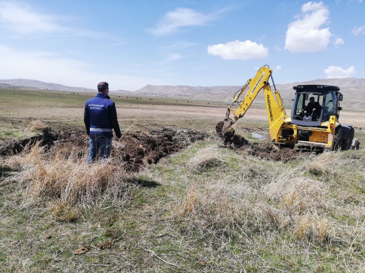 Van'da inci kefali göçü için kanallara boru döşendi