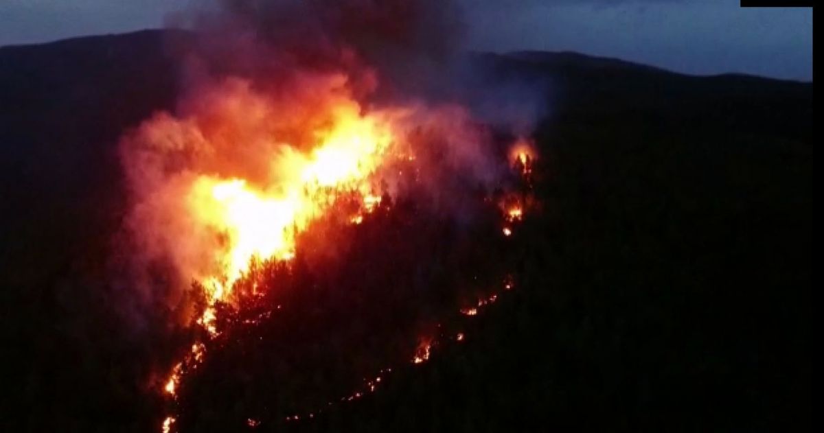 Muğla'da 29 hektarın zarar gördüğü orman yangınında sabotaj şüphesi