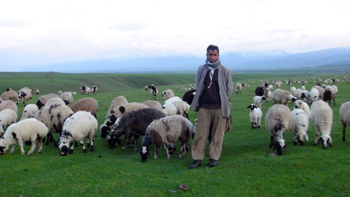 Muşlu çobanların sahuru ve iftarı merada geçiyor