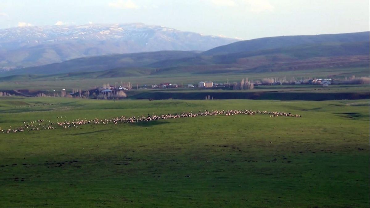 Muşlu çobanların sahuru ve iftarı merada geçiyor