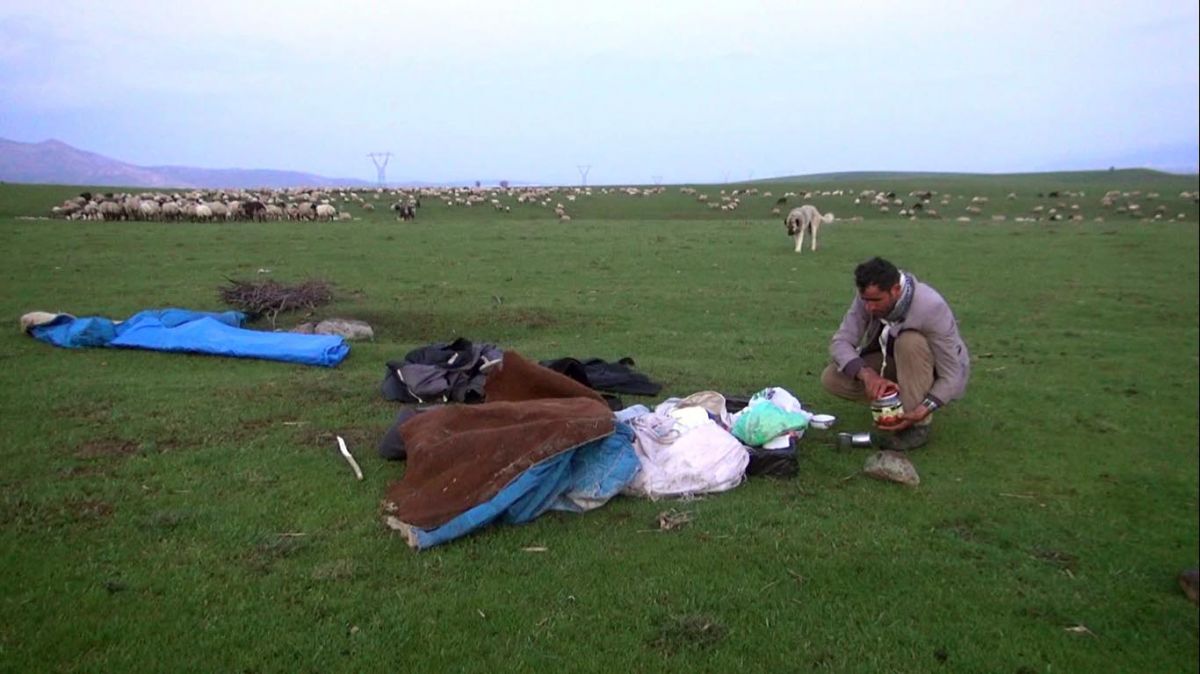 Muşlu çobanların sahuru ve iftarı merada geçiyor