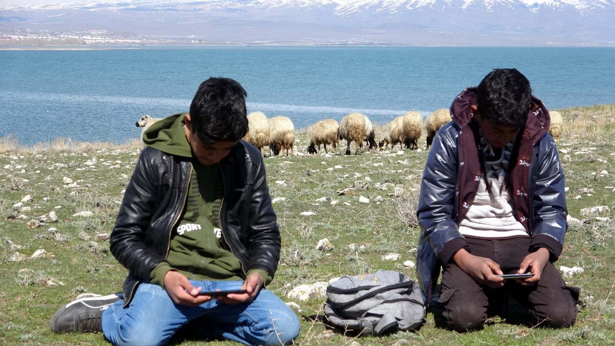 Van'daki çocuklar hem çobanlık yapıyorlar hem ders çalışıyorlar