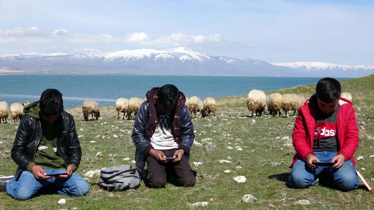 Van'daki çocuklar hem çobanlık yapıyorlar hem ders çalışıyorlar