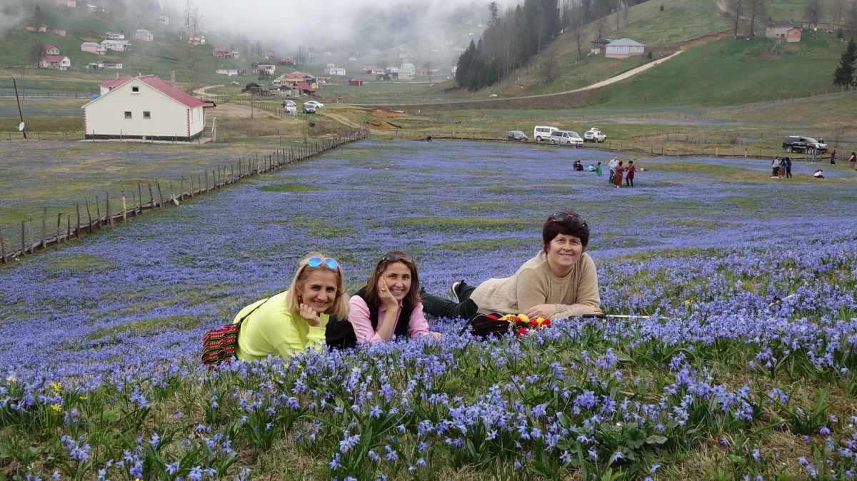 Trabzon'daki Kadıralak Yaylası'nda çiçekler açtı