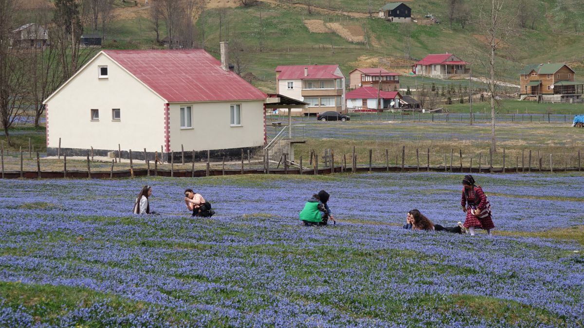 Trabzon'daki Kadıralak Yaylası'nda çiçekler açtı