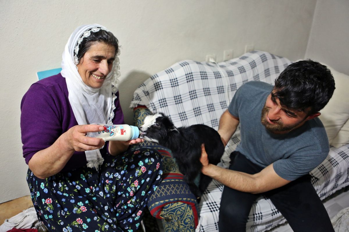 Tunceli'de annenin reddettiği oğlağa, torunları gibi bakıyorlar